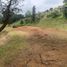 Terrain à vendre à La Ceja, Antioquia, La Ceja, Antioquia