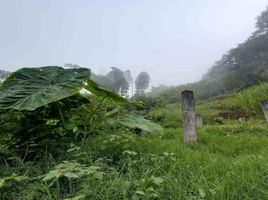  Terreno (Parcela) en venta en Manizales, Caldas, Manizales