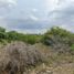  Grundstück zu verkaufen in Chicxulub Pueblo, Yucatan, Chicxulub Pueblo, Yucatan