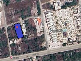  Grundstück zu verkaufen in Chicxulub Pueblo, Yucatan, Chicxulub Pueblo, Yucatan
