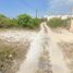  Grundstück zu verkaufen in Chicxulub Pueblo, Yucatan, Chicxulub Pueblo, Yucatan