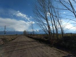  Terrain for sale in San Carlos, Mendoza, San Carlos