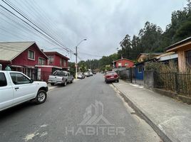  Land for sale in Concepcion, Concepción, Concepcion