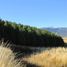  Terreno (Parcela) en venta en Aisén del General Carlos Ibáñez del Campo, Coihaique, Coihaique, Aisén del General Carlos Ibáñez del Campo