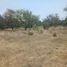  Terreno (Parcela) en venta en San Pedro Cholula, Puebla, San Pedro Cholula, Puebla