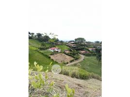  Terreno (Parcela) en venta en Caldas, Neira, Caldas