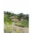  Land for sale in Neira, Caldas, Neira