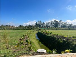  Land for sale in Rionegro, Antioquia, Rionegro
