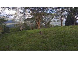  Terrain for sale in Fredonia, Antioquia, Fredonia