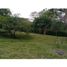  Land for sale in Fredonia, Antioquia, Fredonia