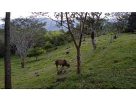  Grundstück zu verkaufen in Fredonia, Antioquia, Fredonia