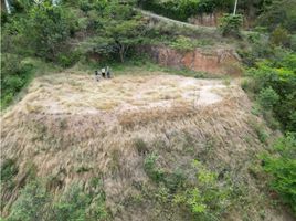  Grundstück zu verkaufen in Medellin, Antioquia, Medellin, Antioquia