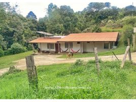 4 Bedroom House for sale in Cauca, Totoro, Cauca