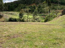  Terreno (Parcela) en venta en Retiro, Antioquia, Retiro