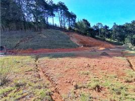  Terreno (Parcela) en venta en La Ceja, Antioquia, La Ceja