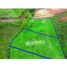  Land for sale in Marinilla, Antioquia, Marinilla