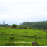  Land for sale in Popayan, Cauca, Popayan