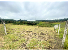  Land for sale in Popayan, Cauca, Popayan