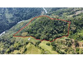  Terreno (Parcela) en venta en Cocorna, Antioquia, Cocorna