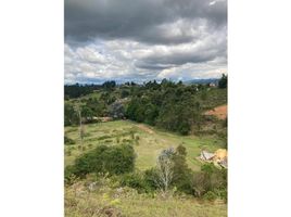  Terreno (Parcela) en venta en Guarne, Antioquia, Guarne, Antioquia, Colombia