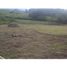  Land for sale in Caldas, Risaralda, Caldas