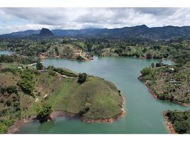  Terreno (Parcela) en venta en Penol, Antioquia, Penol