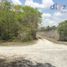  Terreno (Parcela) en venta en Cancún, Quintana Roo, Cancún