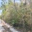  Terreno (Parcela) en venta en Cancún, Quintana Roo, Cancún