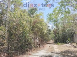  Terreno (Parcela) en venta en Cancún, Quintana Roo, Cancún