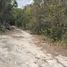  Terreno (Parcela) en venta en Cancún, Quintana Roo, Cancún