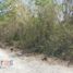  Terreno (Parcela) en venta en Cancún, Quintana Roo, Cancún