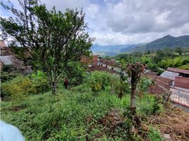  Grundstück zu verkaufen in Tamesis, Antioquia, Tamesis