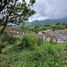  Land for sale in Tamesis, Antioquia, Tamesis