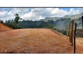  Terreno (Parcela) en venta en San Vicente, Antioquia, San Vicente