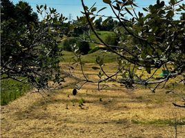  Terreno (Parcela) en venta en Guarne, Antioquia, Guarne