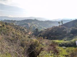  Terreno (Parcela) en venta en Penol, Antioquia, Penol