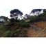  Land for sale in Don Matias, Antioquia, Don Matias