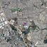  Grundstück zu verkaufen in Apodaca, Nuevo Leon, Apodaca
