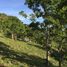 Studio House for sale in Palenque, Chiapas, Palenque