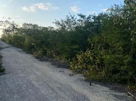 Grundstück zu verkaufen in Merida, Yucatan, Merida, Yucatan