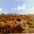  Land for sale in Mina, Nuevo Leon, Mina