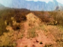  Land for sale in Mina, Nuevo Leon, Mina