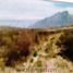  Land for sale in Mina, Nuevo Leon, Mina