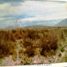  Land for sale in Mina, Nuevo Leon, Mina