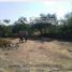  Land for rent in Apodaca, Nuevo Leon, Apodaca