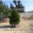  Land for rent in Apodaca, Nuevo Leon, Apodaca