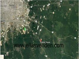  Land for sale in Acanceh, Yucatan, Acanceh