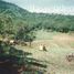  Land for sale in Miguel Aleman, Tamaulipas, Miguel Aleman