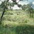  Land for sale in Miguel Aleman, Tamaulipas, Miguel Aleman