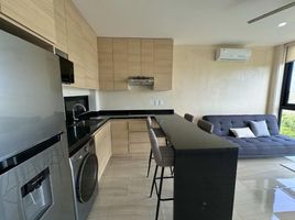 Appartement 1 chambre à louer à Cozumel, Quintana Roo, Cozumel